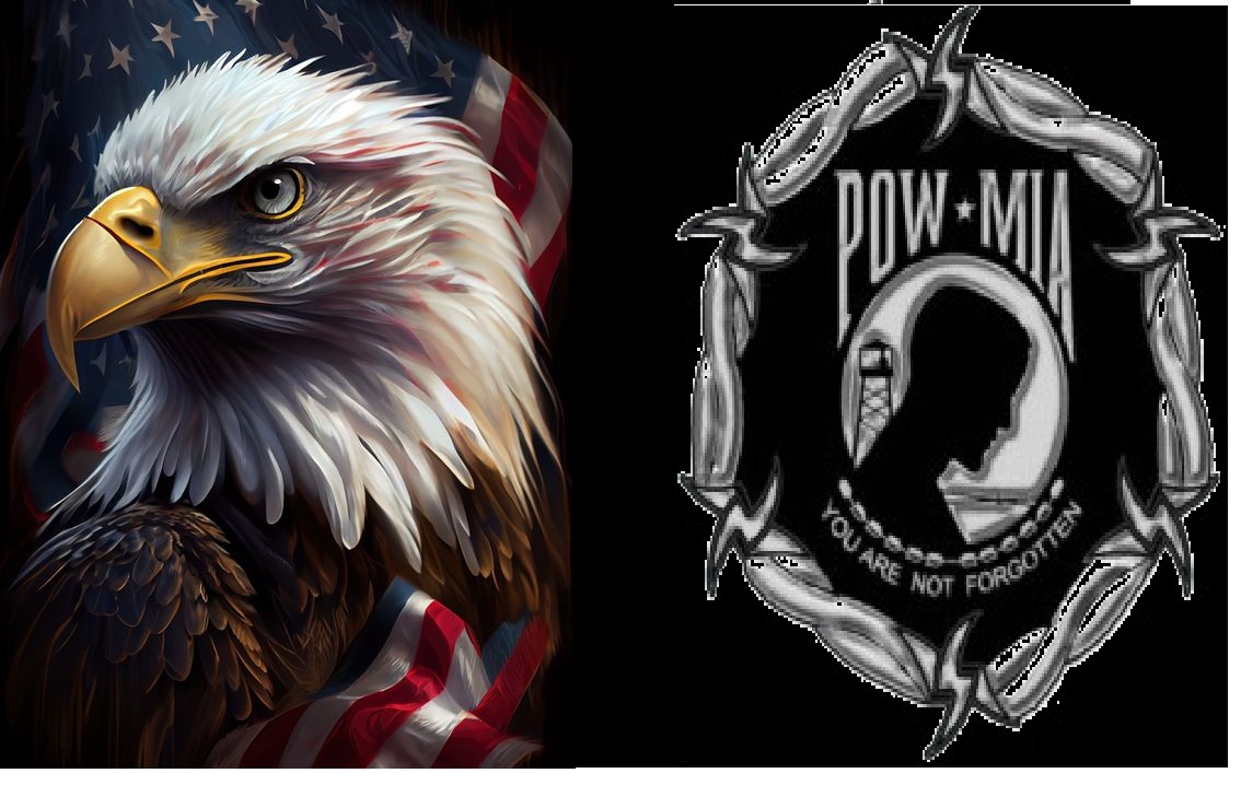 Rolling Thunder Illinois Chapter #3